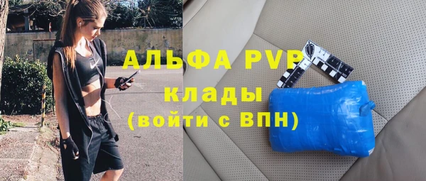 стафф Алзамай