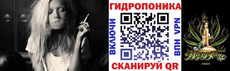 Шишки марихуана ГИДРОПОН Моздок
